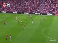 �������� �϶��Ͷ�����VS������ 20250208