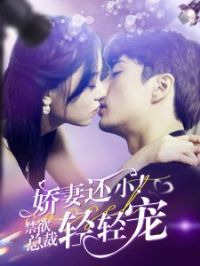 ���޻�С�������ܲ������