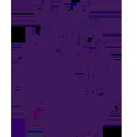 Ӣ�� ������vs��ɭ��20250831