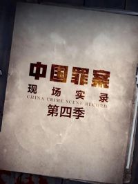 �ﰸ�ֳ�ʵ¼���ļ�