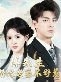 ������������Ų�����