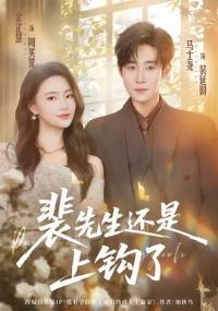 �����������Ϲ���