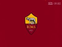 ������� ��������VS����� 20250407